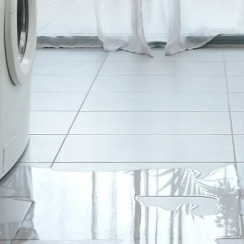 Appliance Leak Cleanup in Vinton, TX