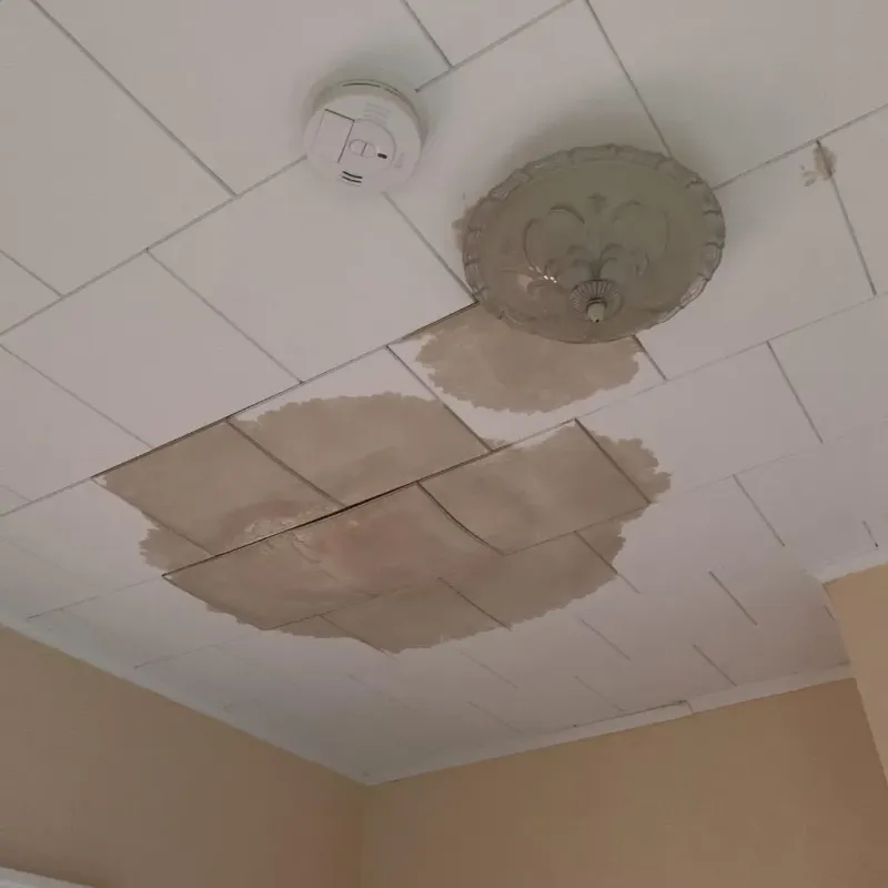 Ceiling Water Damage Repair in Vinton, TX