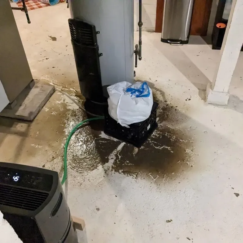 Sewage Backup Cleanup Service in Vinton, TX